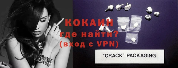 индика Снежногорск