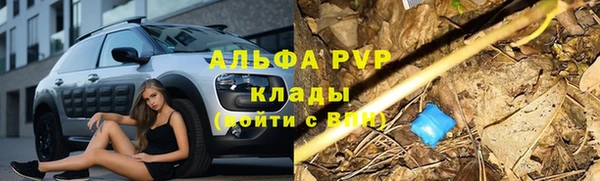 соль курить ск Белокуриха